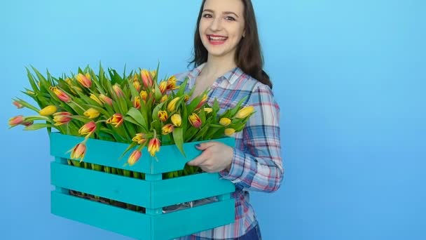 Junge Frau hält eine Schachtel mit Tulpen auf blauem Hintergrund — Stockvideo