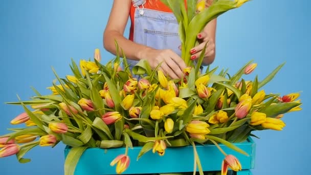 Jovem mulher loira com tulipas no fundo azul — Vídeo de Stock