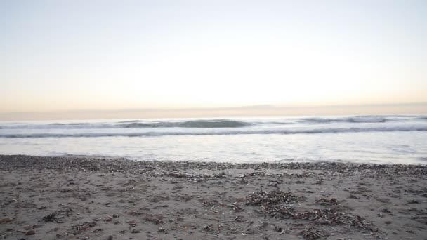 日落时分在海边奔跑的女人 — 图库视频影像