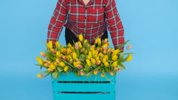 Jovem segurando uma caixa com tulipas em um fundo azul — Vídeo de Stock