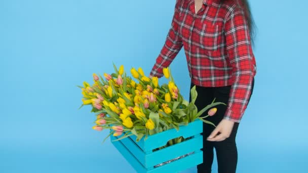 Junge Frau hält eine Schachtel mit Tulpen auf blauem Hintergrund — Stockvideo