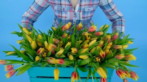 Mujer joven sosteniendo una caja de tulipanes frescos en flor — Vídeo de stock