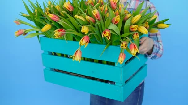 Jeune femme tenant une boîte de tulipes fraîches en fleurs — Video