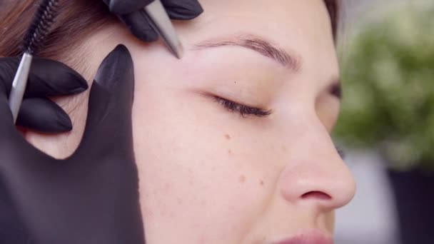 Koncept kosmetických služeb. Mladá žena provádí péči o obočí — Stock video