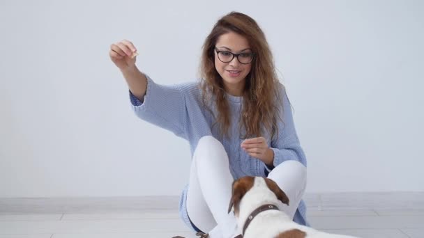 Feliz joven mujer con su gato russell terrier perro en su apartamento — Vídeos de Stock