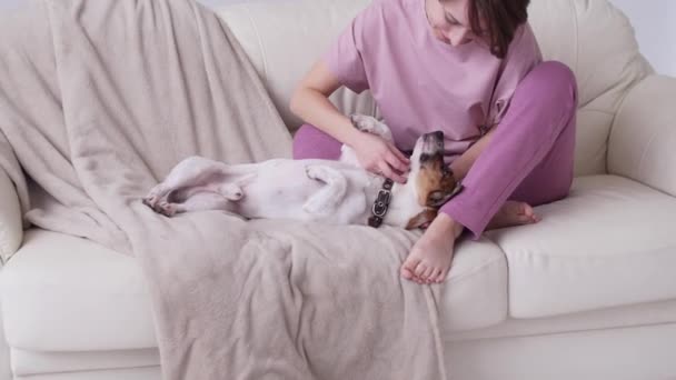 Jovem feliz com seu cão terrier jack russell em seu apartamento — Vídeo de Stock