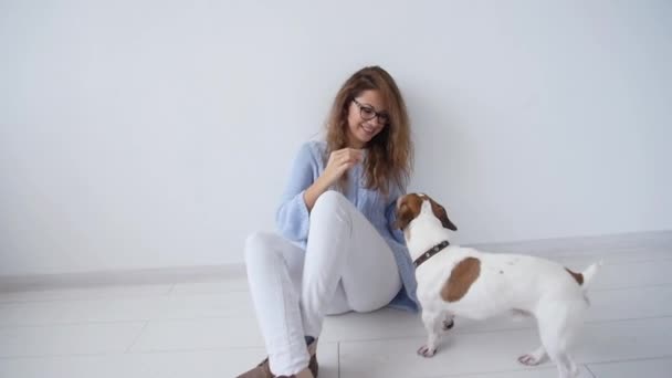 Η αγάπη για τα ζώα έννοια. Ευτυχισμένη νεαρή γυναίκα παίζει με το μικρό χαριτωμένο σκυλί της στο σπίτι — Αρχείο Βίντεο