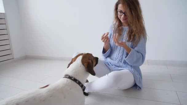 Любов до тварин. Щаслива молода жінка грає зі своєю маленькою милою собакою вдома — стокове відео