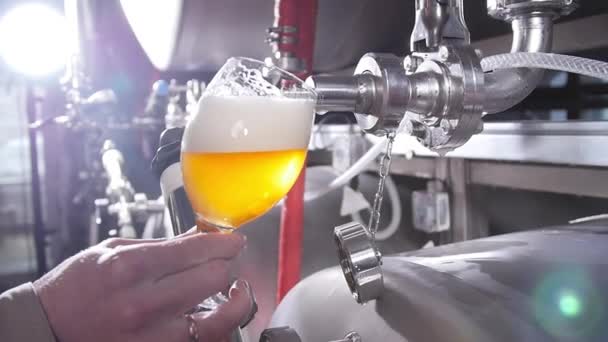 Small business and manufacturing concept. Craft beer brewing equipment in brewery. Amber beer is poured into a glass — Stock Video