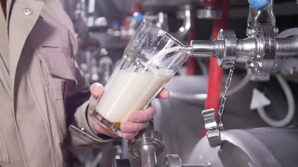 Konzept für Kleinunternehmen und Fertigung. Arbeiter in Brauerei schüttet Bier ins Glas — Stockvideo