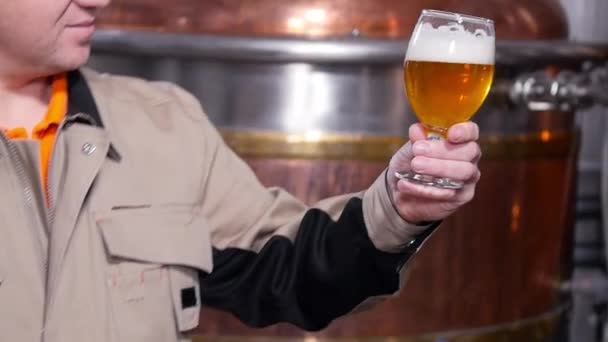 Koncept malého obchodu a výroby. Pivovary testují pivo v pivovaru — Stock video