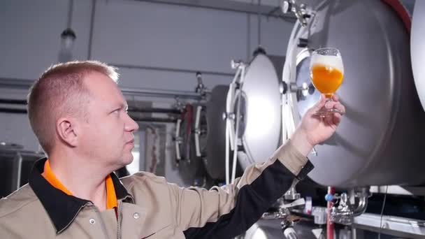 Small business and manufacturing concept. Brewers testing beer at brewery — Stock Video
