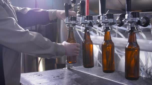 Pequenas empresas e conceito de fabricação. Enchimento de garrafas de cerveja em cervejaria — Vídeo de Stock