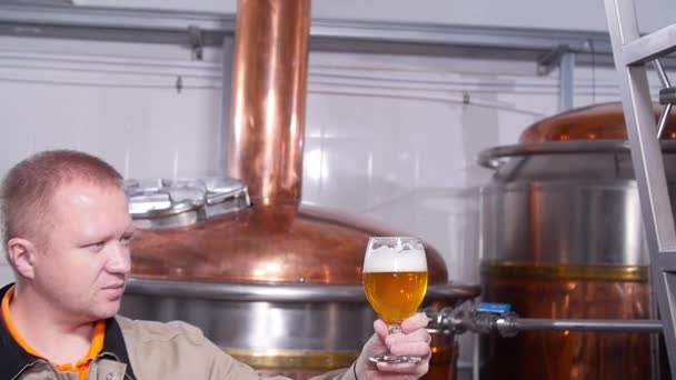 中小企業と製造コンセプト。醸造所でビールをテストする醸造者 — ストック動画