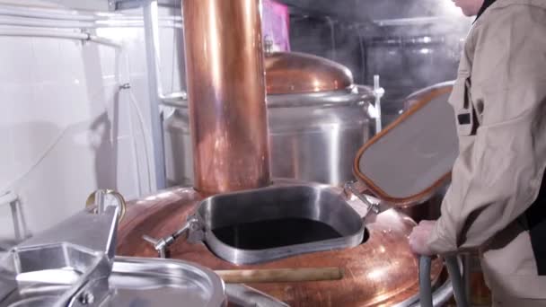 Concept de petite entreprise et de fabrication. Un ouvrier brasse de la bière à la brasserie — Video