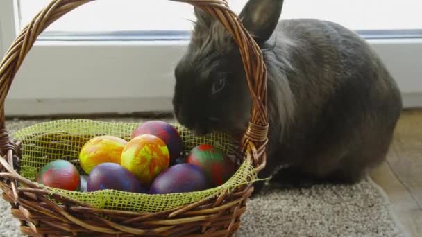 Húsvéti nyuszi kosárban színes tojásokkal, cukorkákkal és tulipánokkal a fa asztalon. Húsvét koncepció háttér. — Stock videók