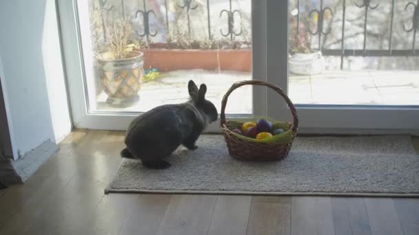 复活节兔子，篮子里有彩蛋、糖果和郁金香，放在木制桌子上。复活节概念背景. — 图库视频影像