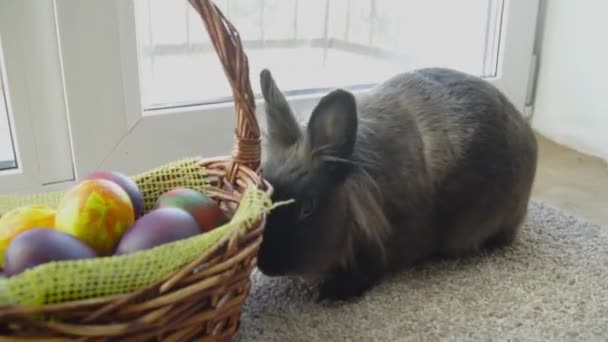 Conejo de Pascua en cesta con huevos coloridos, caramelos y tulipanes en mesa de madera. Fondo concepto Pascua . — Vídeo de stock