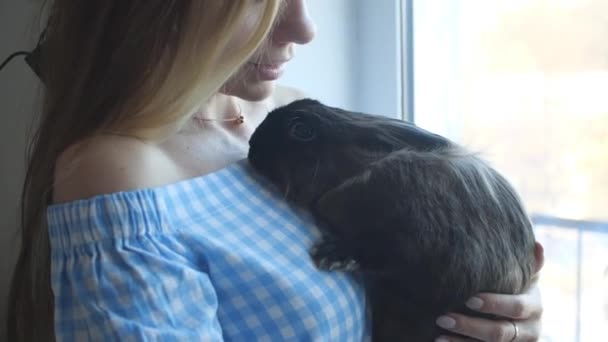 Концепция дружбы и домашних животных. Портрет счастливо улыбающейся женщины, держащей милого кролика — стоковое видео