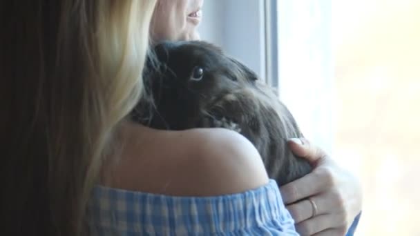 Concetto di amicizia e animali domestici. Ritratto di donna felicemente sorridente che tiene simpatico coniglio domestico — Video Stock