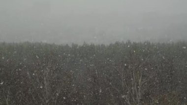 Şehrin üzerine ağır çekimde kar yağar.