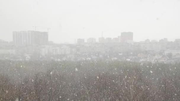 Nieve cae sobre la ciudad en cámara lenta — Vídeo de stock