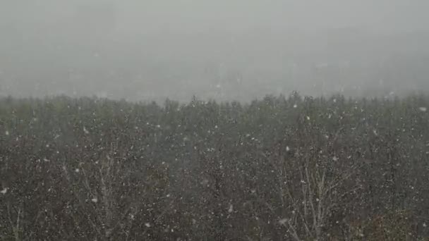 Снег падает над городом в замедленной съемке — стоковое видео