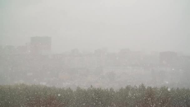 Nevicate sulla città al rallentatore — Video Stock