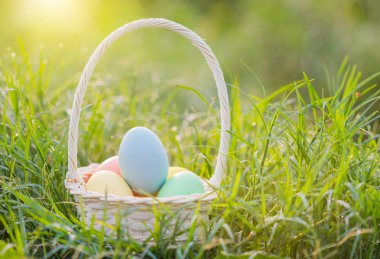 Çiğ damla ile yeşil çimenlerin üzerinde Paskalya yortusu yumurta