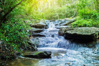 Şelale ormandaki yeşil, Sakon nakhon, Tayland.