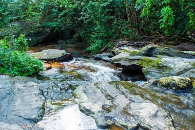 Şelale ormandaki yeşil, Sakon nakhon, Tayland.