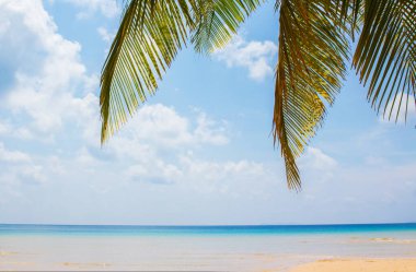 Palmiye yaprağı ve tropik plaj, tatil ve tatil konsepti.