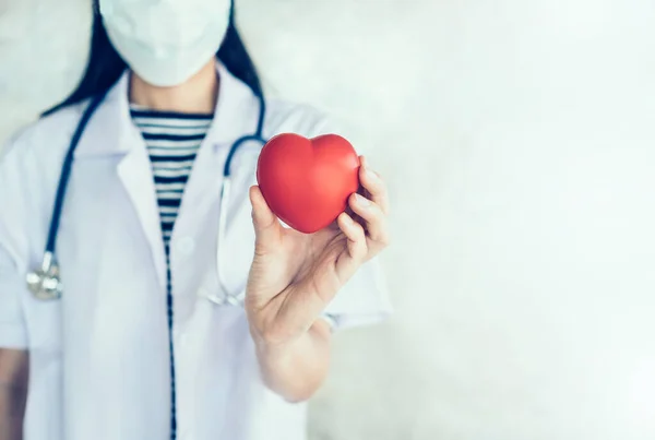 Doctor Holding Heart Stethoscope Healthcare Concept — Stock Photo, Image