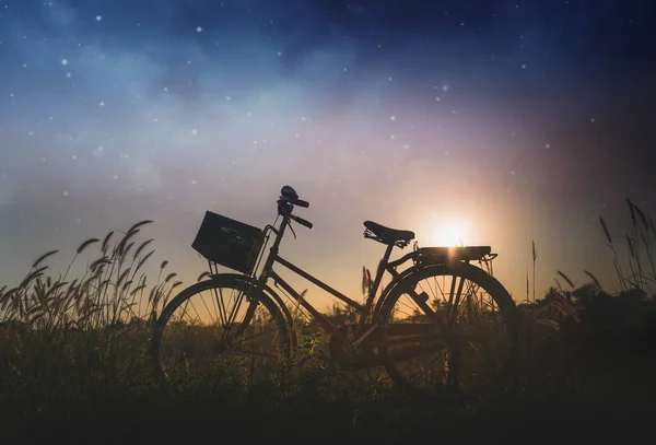 Silhouette Bicycle Field Background Night Sky — Stock Photo, Image