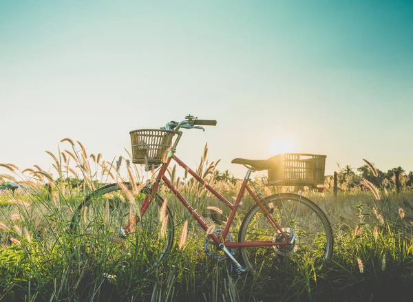 Vintage Vélo Rouge Sur Terrain — Photo