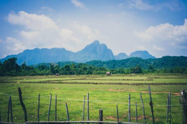 Orman Dağları manzarası, Vang Vieng, Laos.