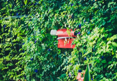 Asma duvardaki kırmızı posta kutusu House 'un önünde..