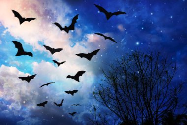 Gece gökyüzünde uçan yarasalar, Cadılar Bayramı arka planı.