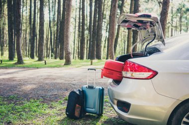 Çam ormanları yolunda bavullu gümüş bir araba. Seyahat kavramı