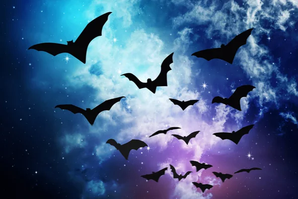 Halloween Background Bats Flying Night Sky — Stock Photo, Image