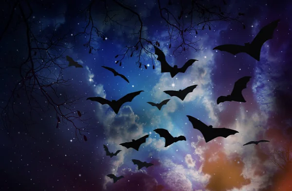 Chauves Souris Volant Dans Ciel Nocturne Fond Halloween — Photo