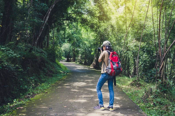 Asiatisk Kvinna Äventyr Till Vandring Skogen Fotograf Med Kamera Ett — Stockfoto