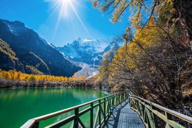 Doğa manzarası, Daocheng 'deki Kar Dağı yad, Sichuan, Çin.