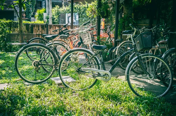 Închiriere Biciclete Vintage Într Oraș Turistic Thailanda — Fotografie, imagine de stoc