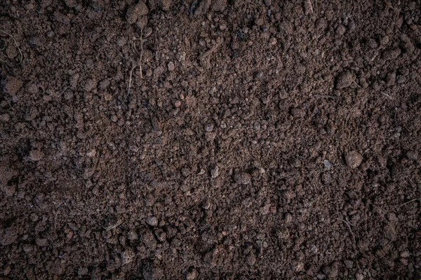 Soil Texture Background — Stock Photo, Image
