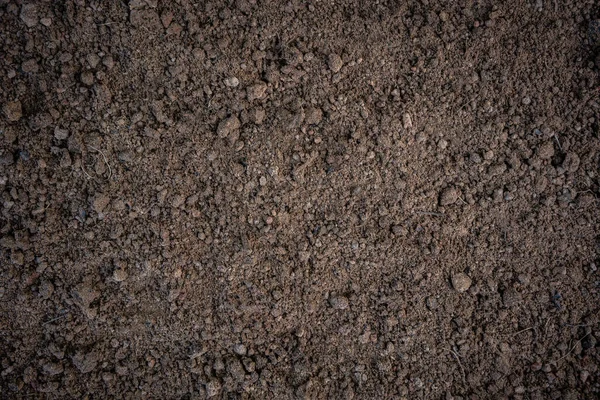 Soil Texture Background — Stock Photo, Image