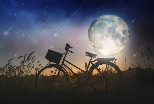Bicicleta Silhueta Com Lua Cheia Campo Fundo Céu Noturno Elementos — Fotografia de Stock
