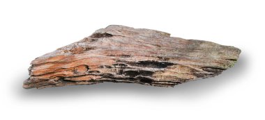 Tahta kütük ve kereste kırpma yolu olan beyaz arkaplanda izole edildi. 