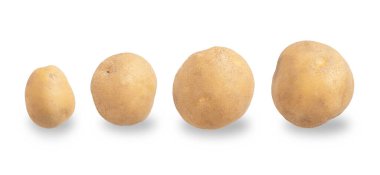 Patatesler kırpma yolu ile beyaz arkaplanda izole edildi.