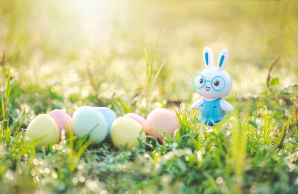Little Bunny and easter eggs on meadow,Funny decoration,Happy Easter.